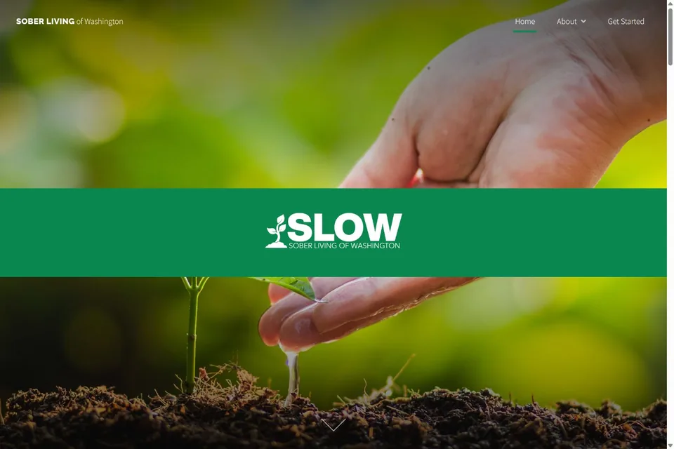 Sober Living of Washington home page with a seedling and green SLOW banner